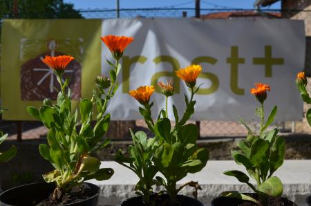 foto Zavod Dobra pot